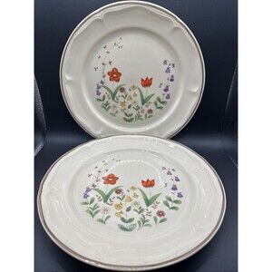 2 Newcor 10 3/4" Stoneware Dinner Plates, Spring Garden #6001 Pattern, Thailand
